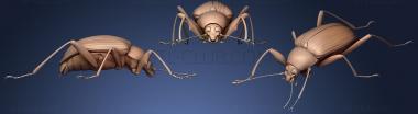 3D мадэль Жуки-насекомые 142 (STL)